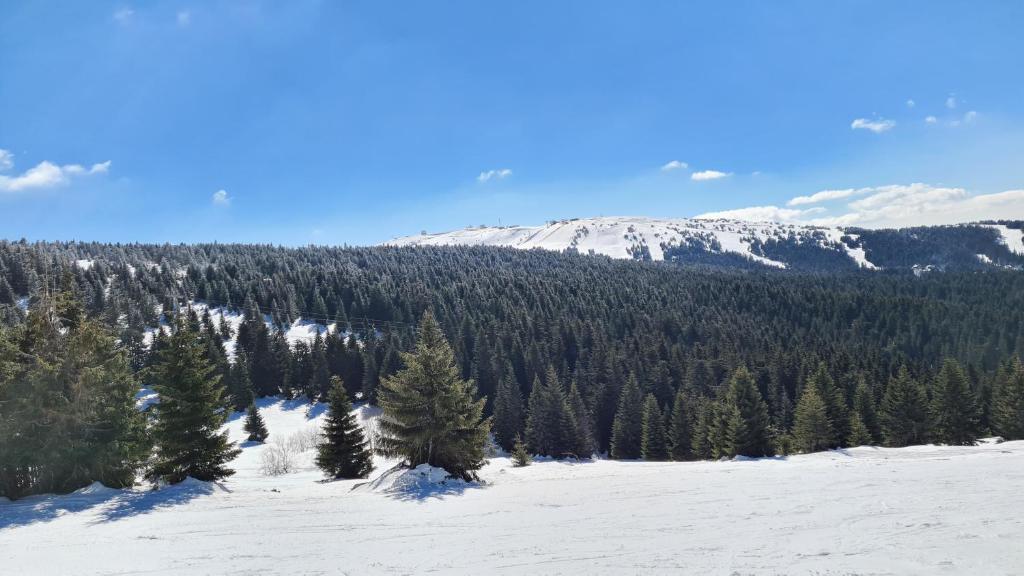 Pogled sa Kopaonika