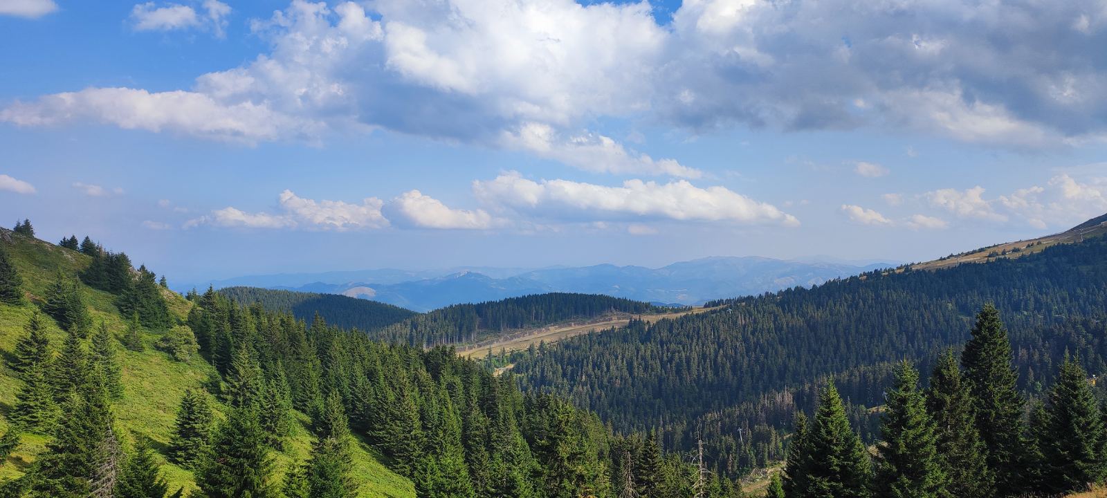 Šumoviti vrhovi Kopaonika i okolne planine